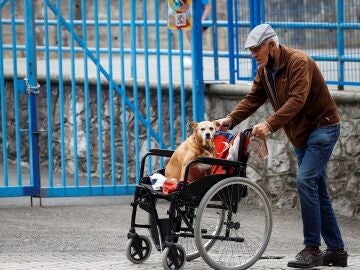 Así aumentarán las pensiones a partir de enero de 2022