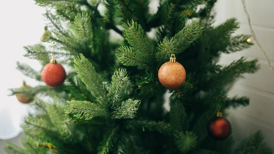 Árbol de Navidad sencillo Árbol de Navidad sencillo