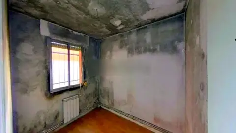 Así son los micropisos, viviendas con menos de 45 metros cuadrados Así son los micropisos, viviendas con menos de 45 metros cuadrados