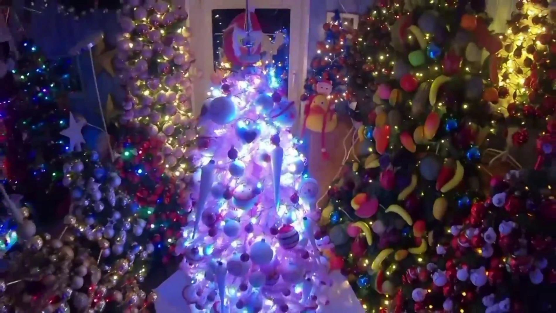 La casa con más árboles de Navidad del mundo tiene más de 400 pinos y se
