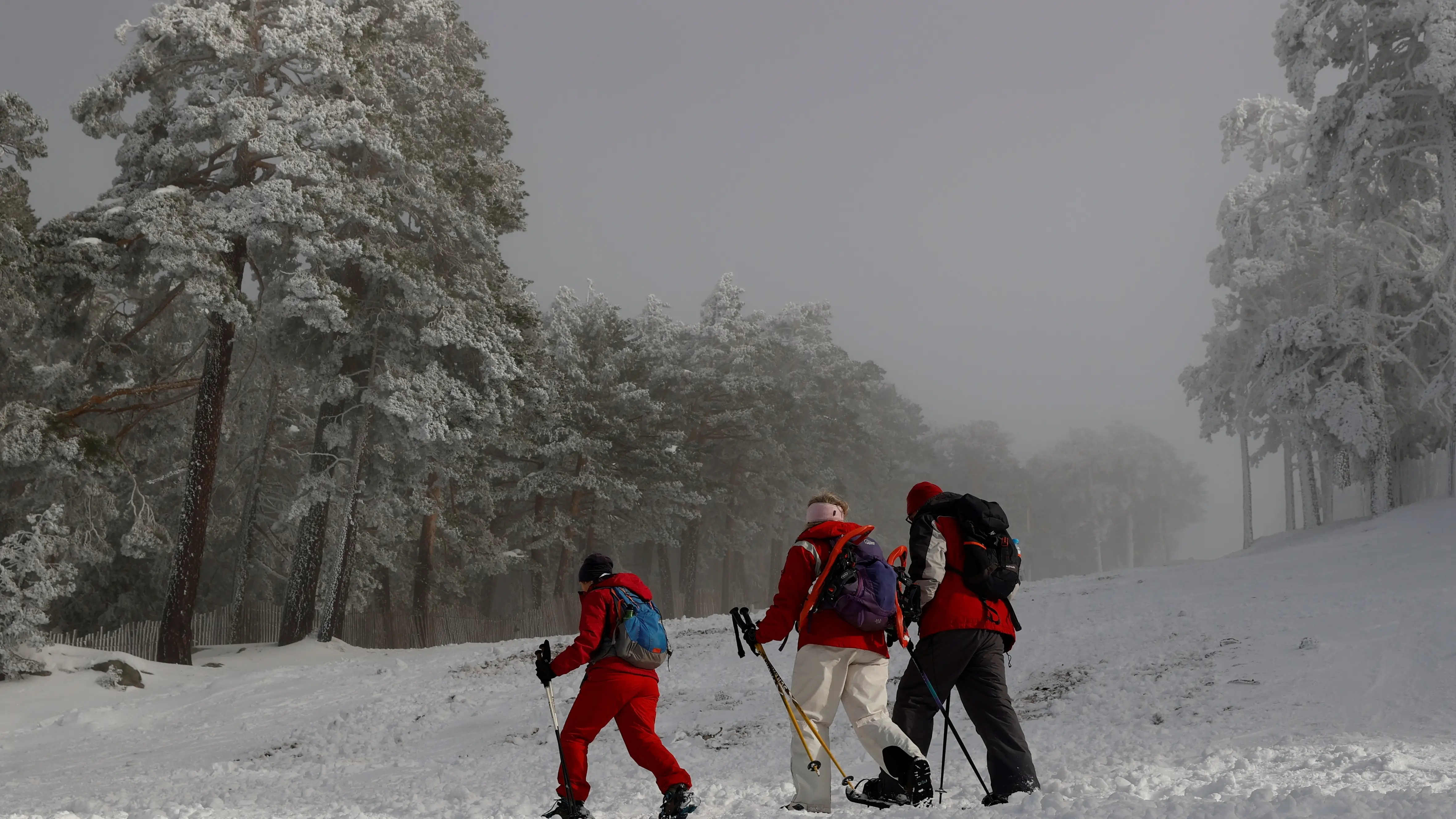 La estaci&oacute;n de esqu&iacute; de Navacerrada abrir&aacute; dos pistas este viernes