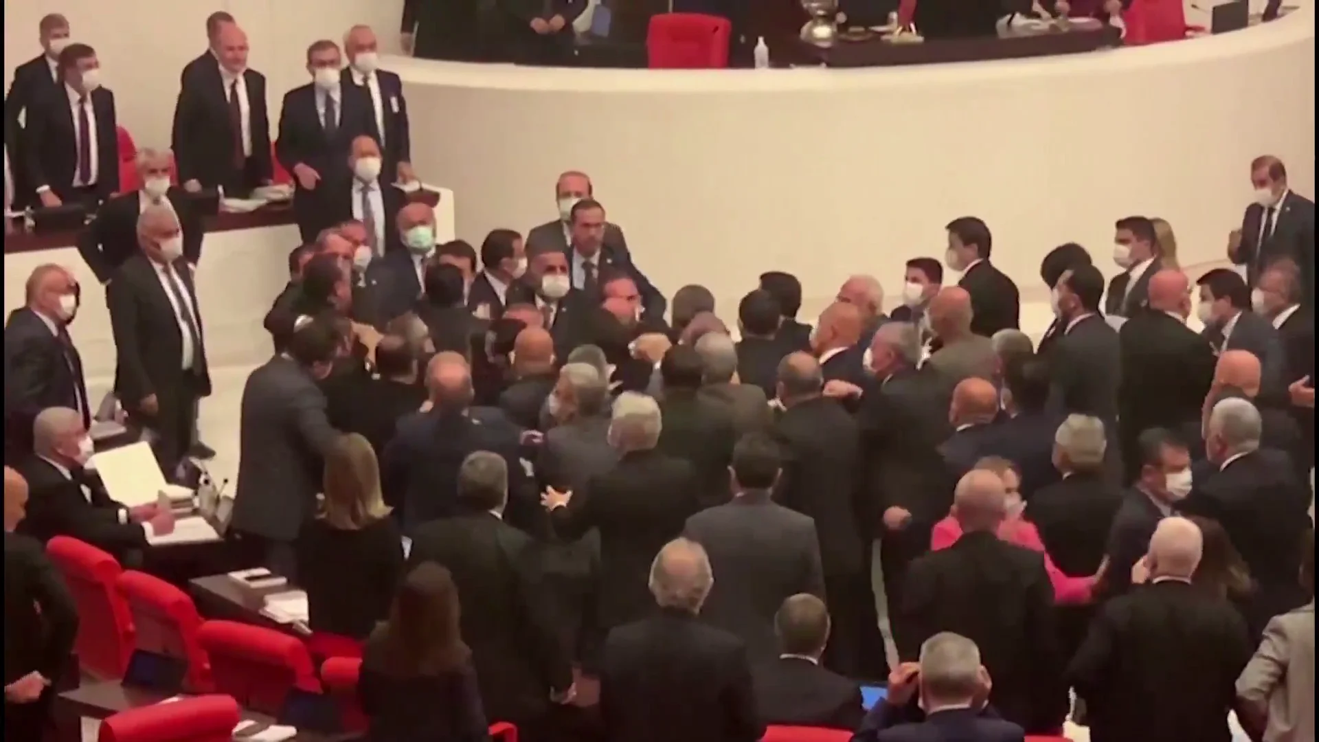 Pelea Turquía Pelea Turquía
