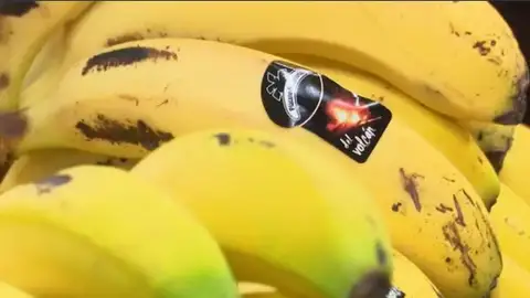 Plátanos volcán La Palma Plátanos volcán La Palma