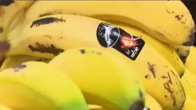 Diferencias entre plátano y banana Diferencias entre plátano y banana