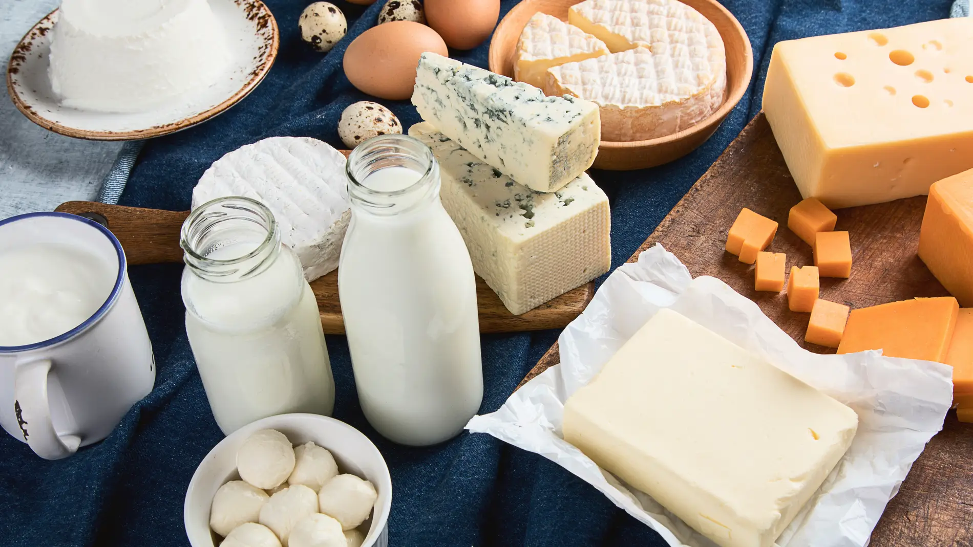 Leche, queso y yogur son productos lácteos.