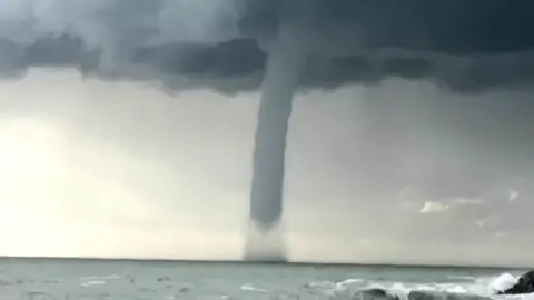 Tromba marina Tromba marina