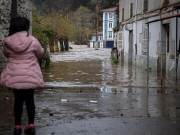 El desbordamiento del r&iacute;o Deva en Mendaro