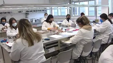 Descubre cuáles son los títulos de FP con más salidas laborales Descubre cuáles son los títulos de FP con más salidas laborales