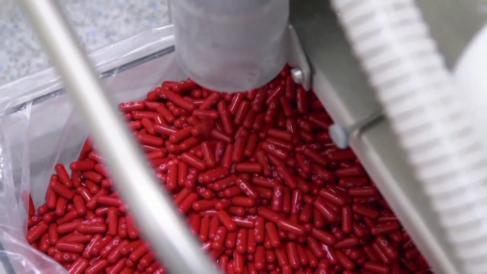 Píldora Pfizer Píldora Pfizer