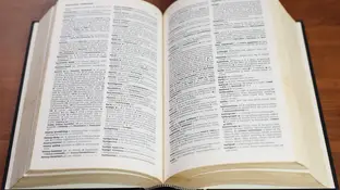 Diccionario Diccionario
