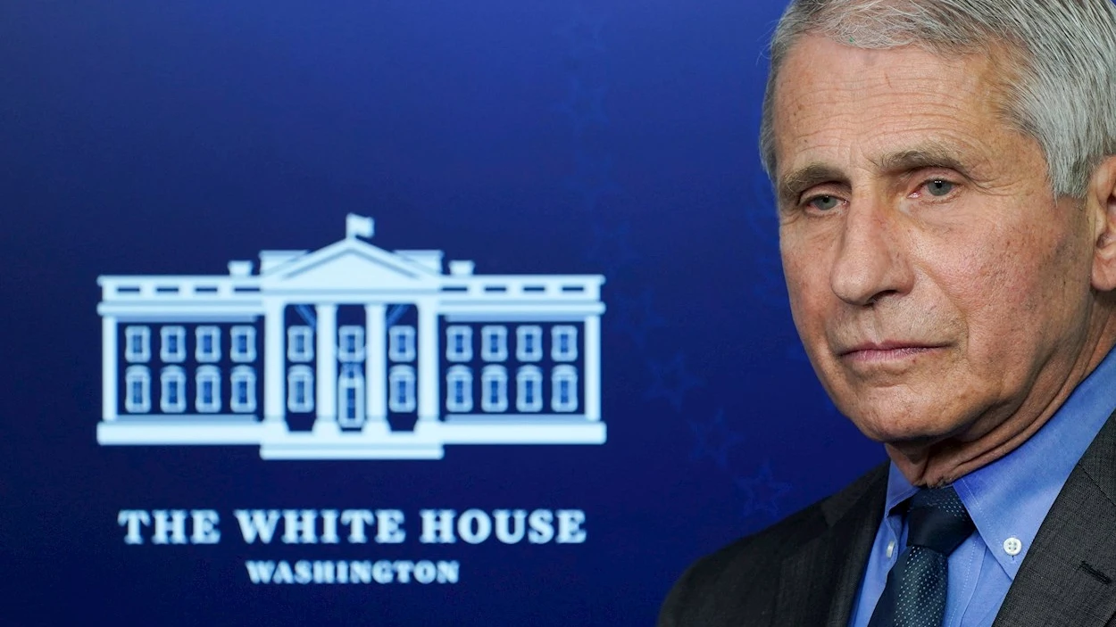 Fauci Fauci