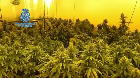 Policía Nacional Policía Nacional