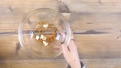 Granos de palomitas Granos de palomitas