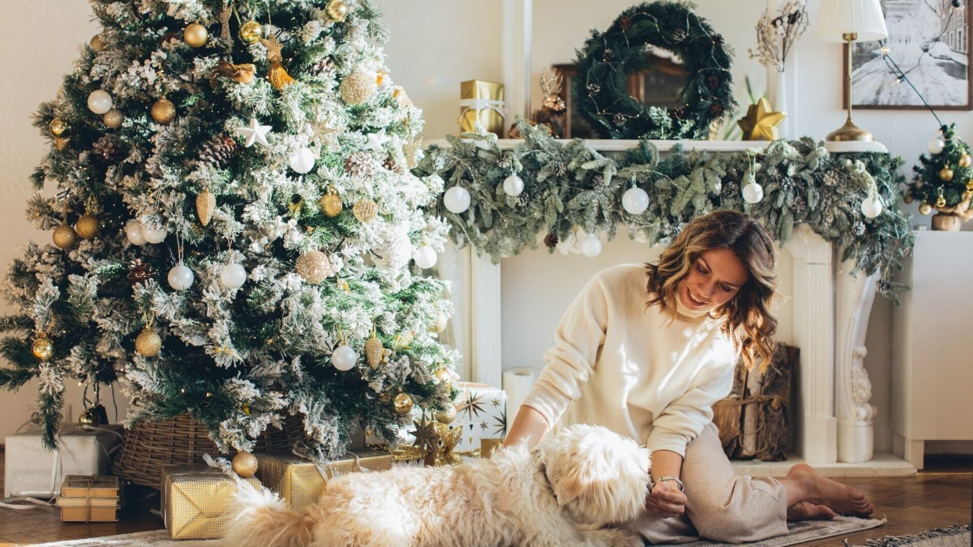 Ideas De Regalo Originales Para Mascotas En Navidad