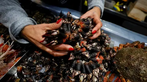 Los precios de los alimentos navideños suben un 11% en diciembre, según la OCU Los precios de los alimentos navideños suben un 11% en diciembre, según la OCU