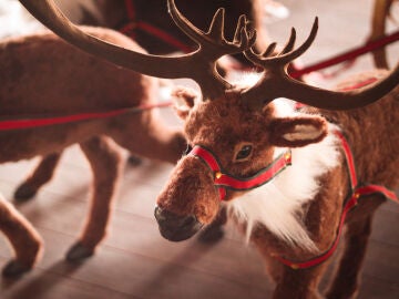 ¿Cómo se llaman los renos de Papá Noel? Estos son sus nombres y el origen