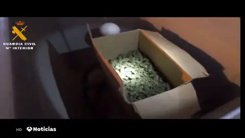 drogas drogas