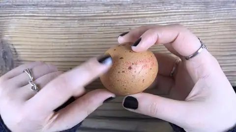 Manchas en los huevos Manchas en los huevos