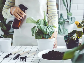 Jardinera pulverizando plantas Jardinera pulverizando plantas