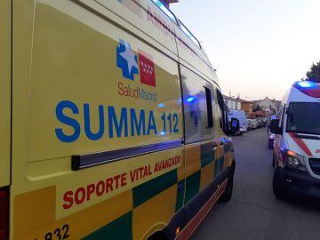 Una mujer de 58 años, herida grave por el ataque de dos perros en Fuerteventura