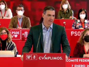 Pedro Sánchez, en el Comité Federal del PSOE: &quot;Pedimos a la oposición lo mínimo, rigor y educación&quot;