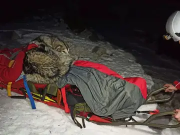 Un perro salva la vida a un montañero herido protegiéndole del frío durante 13 horas Un perro salva la vida a un montañero herido protegiéndole del frío durante 13 horas