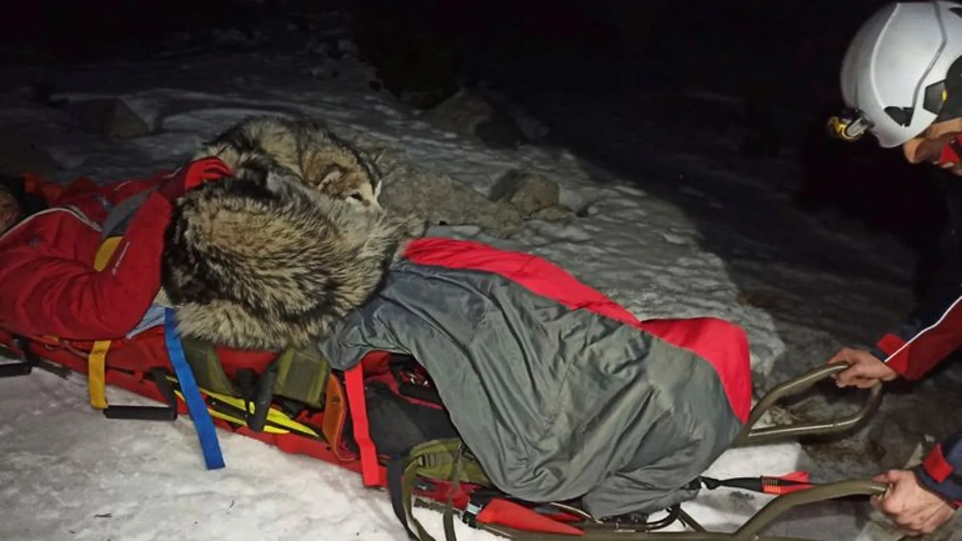 Un perro salva la vida a un montañero herido protegiéndole del frío durante 13 horas
