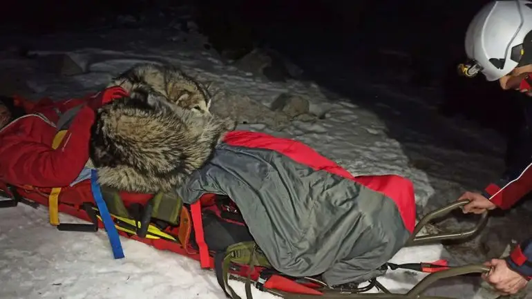 Un perro salva la vida a un montañero herido protegiéndole del frío durante 13 horas Un perro salva la vida a un montañero herido protegiéndole del frío durante 13 horas