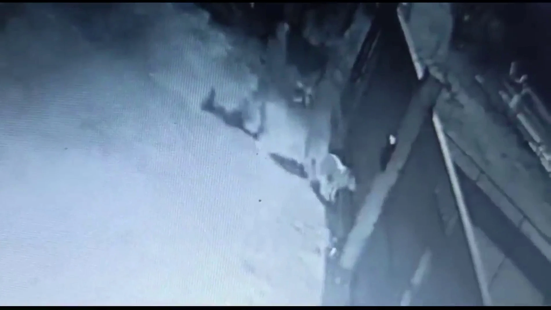 Vídeo: Abandonan a un perro en un refugio y se dan a la fuga