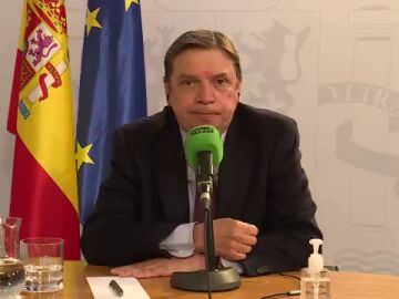 Luis Planas, sobre la idoneidad de Garzón como ministro : "Ningún comentario al respecto"