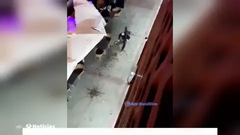 MACETAS BALCÓN MACETAS BALCÓN