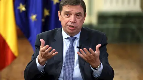 El ministro de Agricultura, Pesca y Alimentación, Luis Planas El ministro de Agricultura, Pesca y Alimentación, Luis Planas