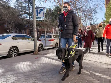 Un joven de Teruel ciego y sin manos logra la autonomía gracias a un perro guía