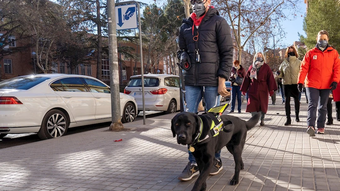 Un joven de Teruel ciego y sin manos logra la autonom&iacute;a gracias a un perro gu&iacute;a