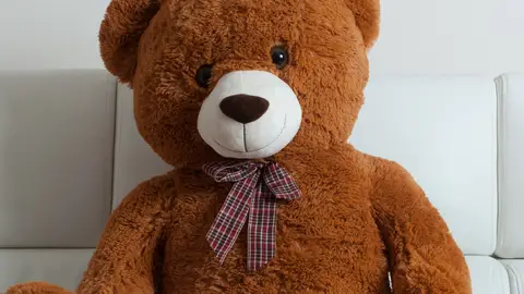 Oso peluche Oso peluche