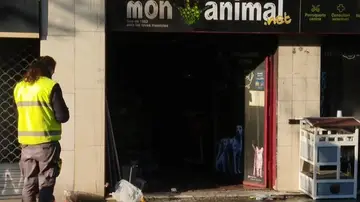 Decenas de animales muertos en el incendio de una tienda de mascotas de Barcelona 