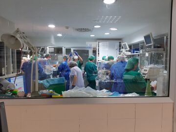 Nacen cuatrillizos en el Hospital General Universitario de Elche