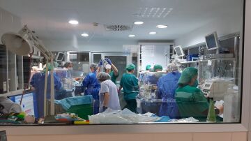 Nacen cuatrillizos en el Hospital General Universitario de Elche