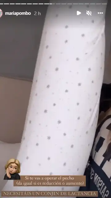 El cojín de María Pombo El cojín de María Pombo