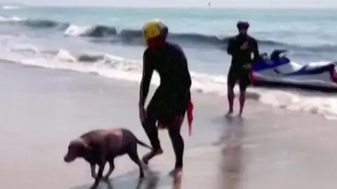 Vídeo: El espectacular rescate de un perro en una playa de Malibú Vídeo: El espectacular rescate de un perro en una playa de Malibú
