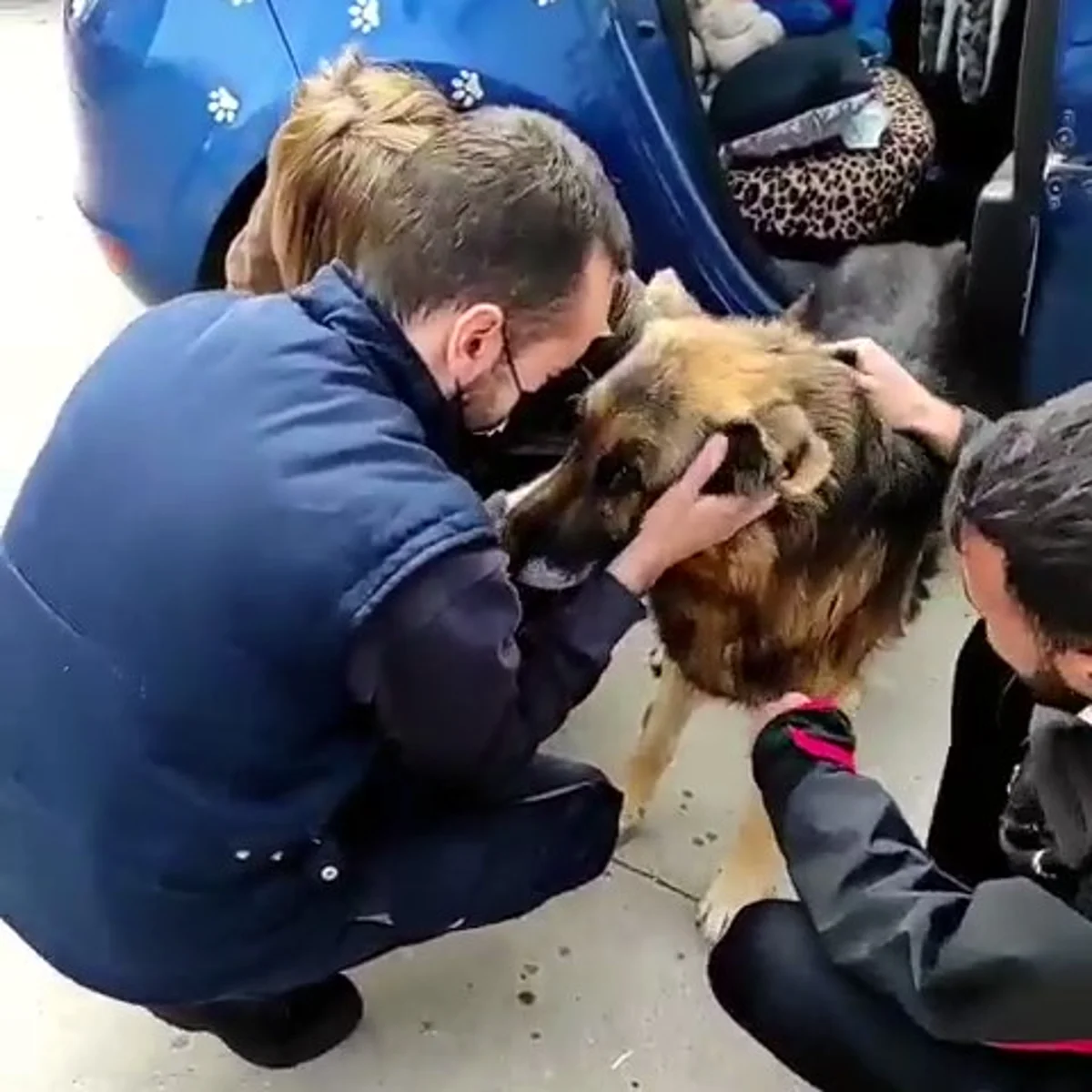La emotiva historia de Dico, el perro que vuelve a reencontrarse con su familia tras 7 años perdido