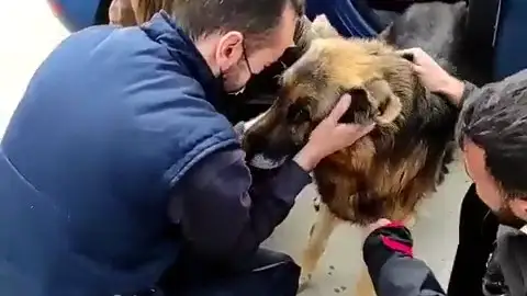 La emotiva historia de Dico: vuelve a reencontrarse con su familia tras 6 años perdido La emotiva historia de Dico: vuelve a reencontrarse con su familia tras 6 años perdido