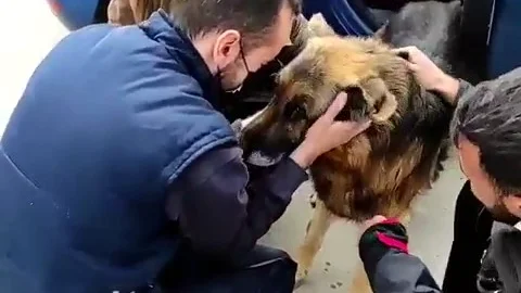 La emotiva historia de Dico: vuelve a reencontrarse con su familia tras 6 años perdido La emotiva historia de Dico: vuelve a reencontrarse con su familia tras 6 años perdido