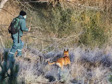 Perros especializados buscan a Esther López Perros especializados buscan a Esther López