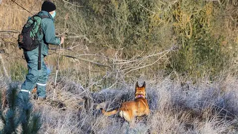 Perros especializados buscan a Esther López Perros especializados buscan a Esther López