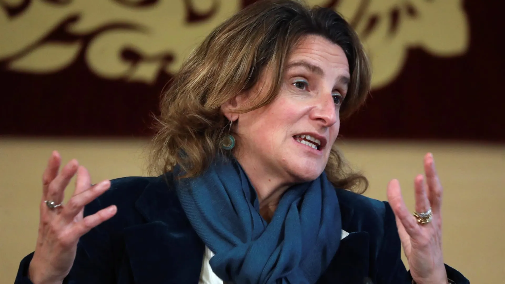 La vicepresidenta tercera y ministra para la Transición Ecológica y el Reto Demográfico, Teresa Ribera La vicepresidenta tercera y ministra para la Transición Ecológica y el Reto Demográfico, Teresa Ribera