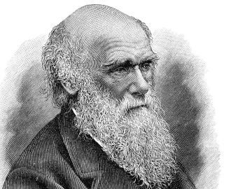 Charles Darwin, científico