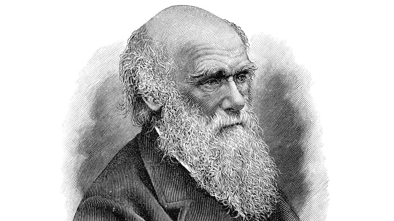 Дж дарвин. Ученый биолог Дарвин.