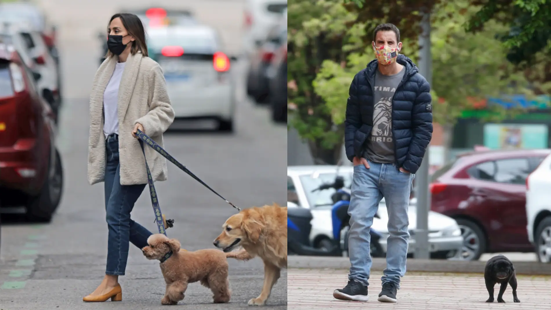 Tamara Falcó y Dani Rovira paseando a sus perros