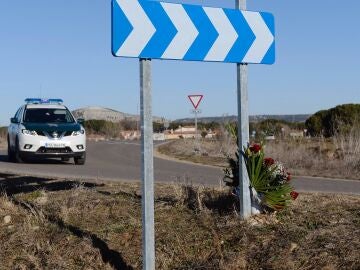 Un coche de la Guardia Civil cerca de Traspinedo